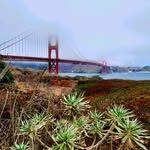 susan shrader - @s.shrader60 - Instagram