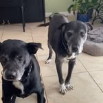 Susan Shrader - @susanshrader8 - Instagram