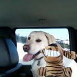 Susan Wines Shuler - @susanwinesshuler - Instagram