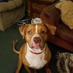 Susan Siebert - @susan.siebert.52 - Instagram