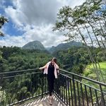 @_susansilvia_ - Instagram