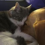 Susan Gilliland Simkins - @susan.g.simkins - Instagram