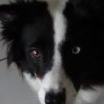 Susan Simmerson - @susansimmerson - Instagram