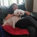 Susan Simmonds - Facebook