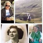 Susan Sinclair - @susasinc - Instagram