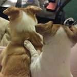 Susan Sinclair - @susan.sinclair.14 - Instagram