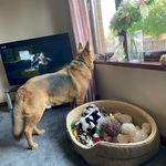 Susan Sinclair - @susansinclair59 - Instagram