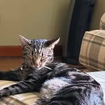 Susan Sipes Simmons - @susan.s.simmons.3 - Instagram