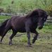 Susan Sisson - Facebook