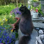 Susan Skillings - @susanskillings - Instagram
