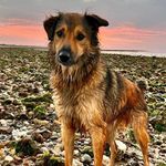 Susan Slade - @susan.slade.54 - Instagram