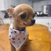 Susan Slade - Facebook