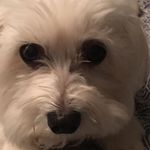 Susan Riley Snell - @susan.snell.75 - Instagram