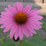 Susan Snell - @susansnell2538 - Instagram