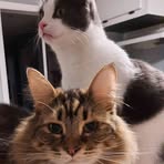 Susan Snell - Facebook