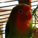 Susan Ackerman Soffer - @sbasoffer - Instagram