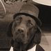Susan Souder - Facebook