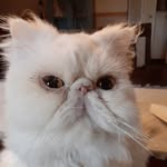 Susan Spadafora - @spadafora.susan - Instagram
