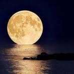 Susan Spear - Facebook