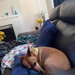Susan Spear - @spear4216 - Instagram