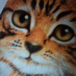Susan Spicer - @suasanspicer - Instagram
