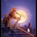 Susan Spicer Adkins - @hairypawser77 - Instagram