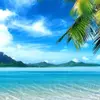 Susan Spillane - @susan.spillane - TikTok