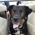 Susan Spillane - @susan.spillane.509 - Instagram