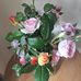 Susan Spinks - Facebook