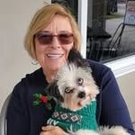 Susan Spinks Lee - @susanslee9002025 - Instagram