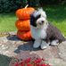 Susan Spinner - Facebook