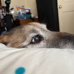 Susan Spinner Tryon - @suzymama4 - Instagram