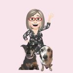 Susan Spoor - @susanspoormenzer - Instagram