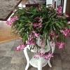 Susan Spoor - @susanspoor - TikTok