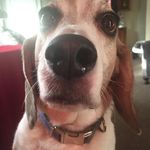 Susan Spoor Menzer - @susan.spoor.1848 - Instagram
