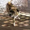 Susansprng105 - @susanspring3 - TikTok