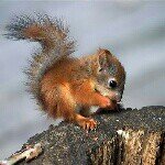 Susan Spurlock - @susan_marie1974 - Instagram
