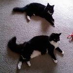 Susan Spurlock - @susan.spurlock - Instagram