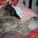Susan Spurlock - Facebook