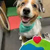 Susan Spurlock - @susan.spurlock - TikTok