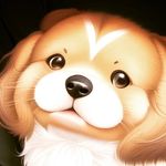 Susan Spurlock - @susan._.spurlock1 - Instagram