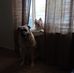 Susan Stevens Spurlock - Facebook