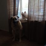 Susan Stevens Spurlock - @stevensspurlock - Instagram