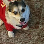 Susan Stackpole - @susanstackpole64 - Instagram