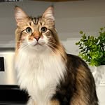 Susan Stacy - @susan.stacy.1121 - Instagram