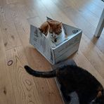 Susan Stagg - Facebook