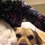 Susan Stagg - @suestagg - Instagram