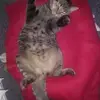 susannestalter245 - @susannestalter245 - TikTok