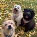 Susan Stamp - Facebook
