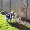 susanstancoff300 - @susanstancoff300 - TikTok
